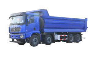 Hot sale Shacman S2000 6×4 Van Type Cargo Truck - 8X4 Dump Truck X3000  – Automobile Holding