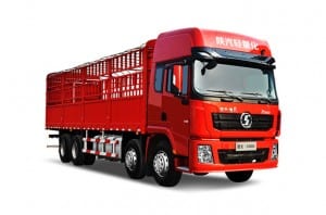 8X4 Cargo Truck X3000