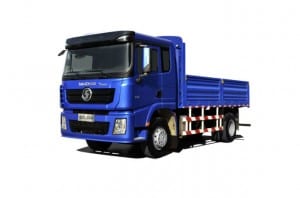 4X2 Cargo Truck X3000